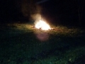 IMG-20141113-WA0009