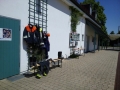 IMG-20150516-12.jpg