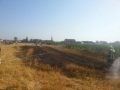 IMG-20150705-15