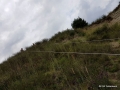 IMG-20160729-20