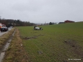 IMG-20170309-06