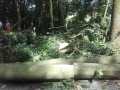 IMG-20180703-WA0002