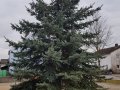 20191130_141744