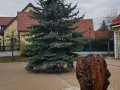 20191130_151646