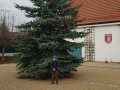 20191130_151657